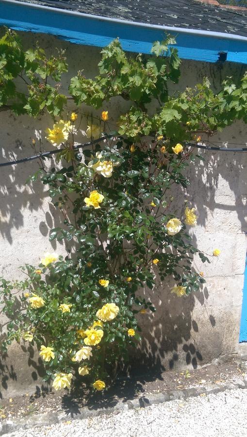 לינה וארוחת בוקר Champagne-Mouton Vingt Grand Rue מראה חיצוני תמונה